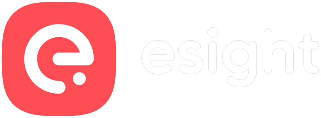 eSight Solutions Logo